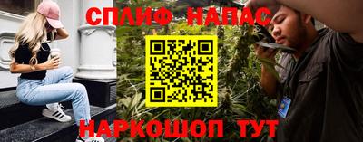 крисы Будённовск