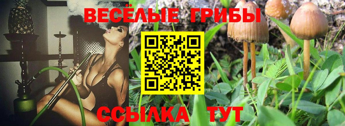 Псилоцибиновые грибы GOLDEN TEACHER  Псилоцибиновые грибы мицелий  что такое   Вход с VPN  Спасск-Дальний 