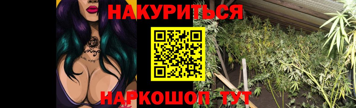 Шишки марихуана семена  Каннабис гибрид  Спасск-Дальний  Вход с VPN 